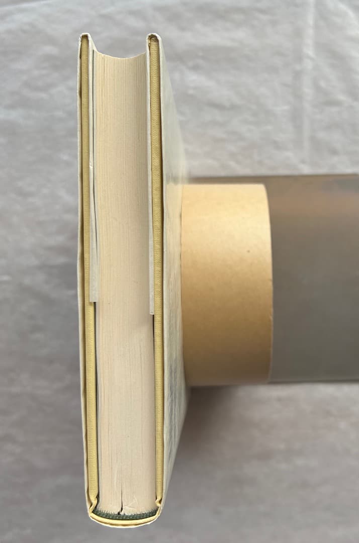 佐々木英也『マザッチオ　ルネサンス絵画の創始者』、東京大学出版会、2001年。