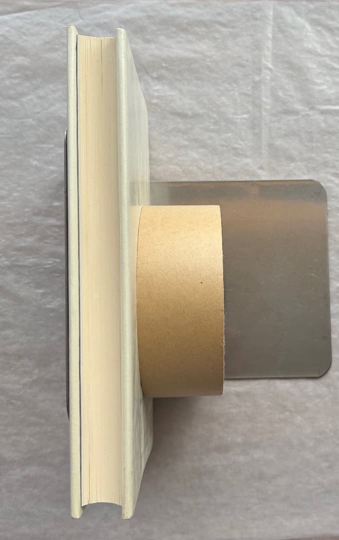 佐々木英也『マザッチオ　ルネサンス絵画の創始者』、東京大学出版会、2001年。