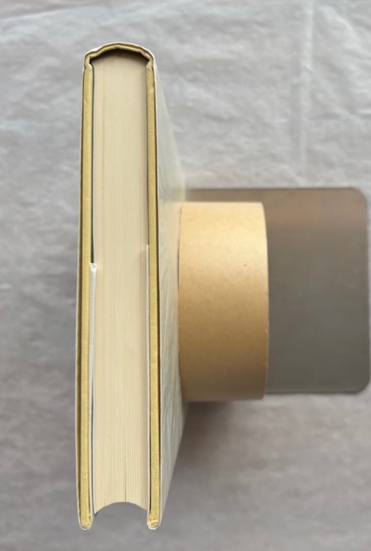 佐々木英也『マザッチオ　ルネサンス絵画の創始者』、東京大学出版会、2001年。