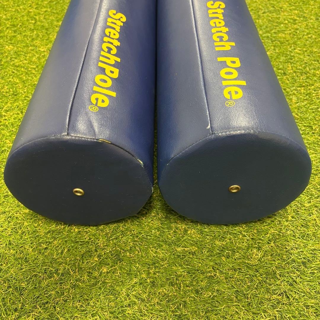 【即日発送 正規品】LPN社製 ストレッチポールEX 2本セット