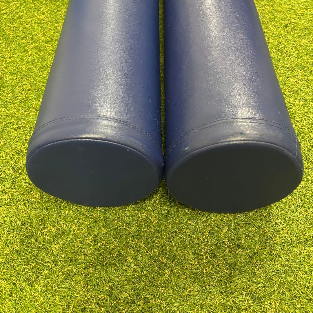 【即日発送 正規品】LPN社製 ストレッチポールEX 2本セット