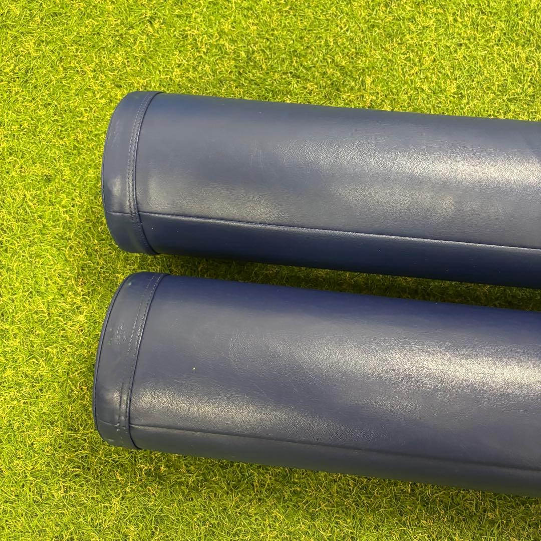 【即日発送 正規品】LPN社製 ストレッチポールEX 2本セット