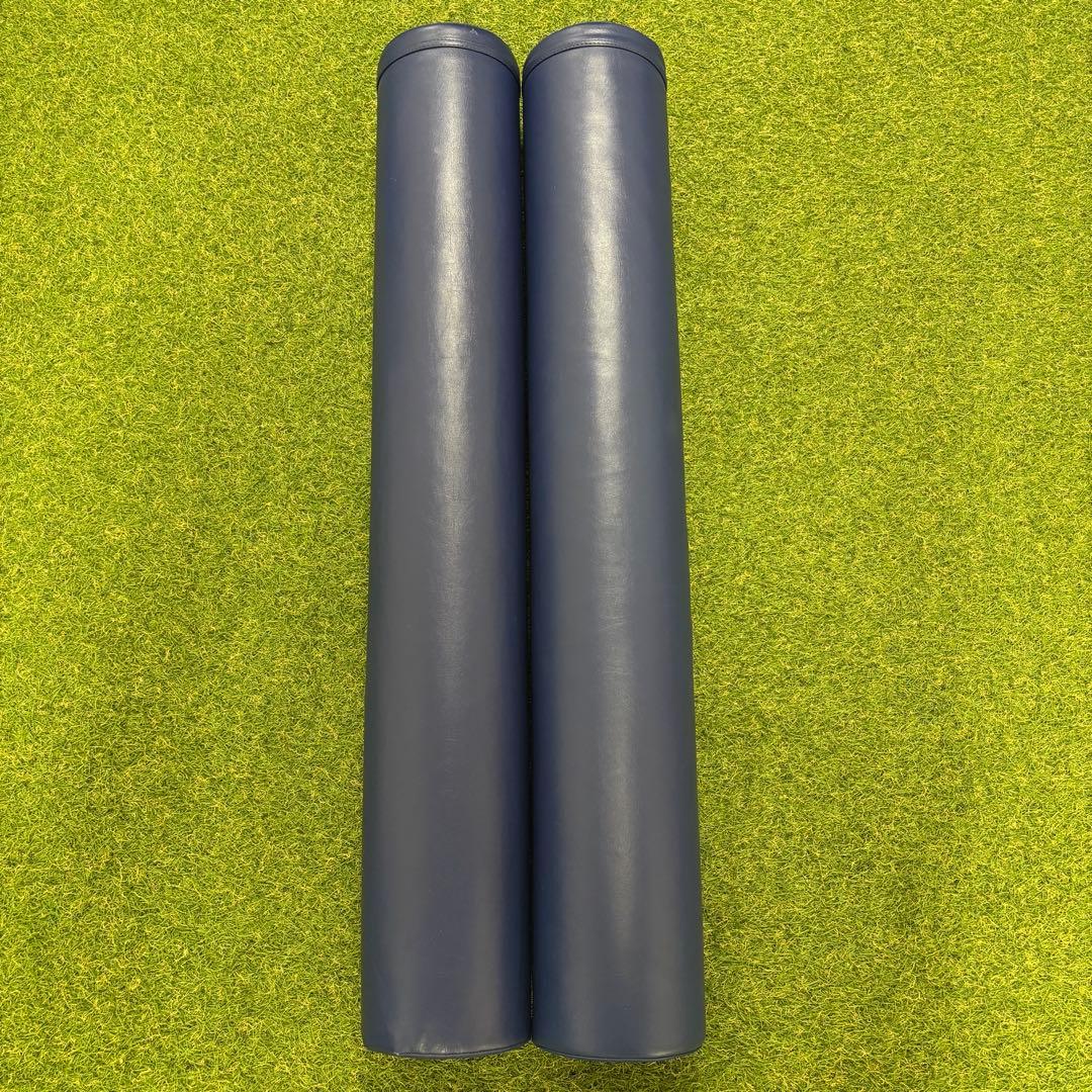 【即日発送 正規品】LPN社製 ストレッチポールEX 2本セット