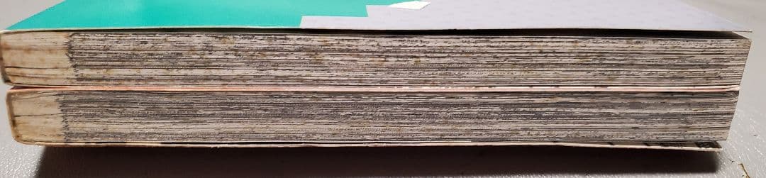 英語版 バオー来訪者 全2巻 荒木飛呂彦