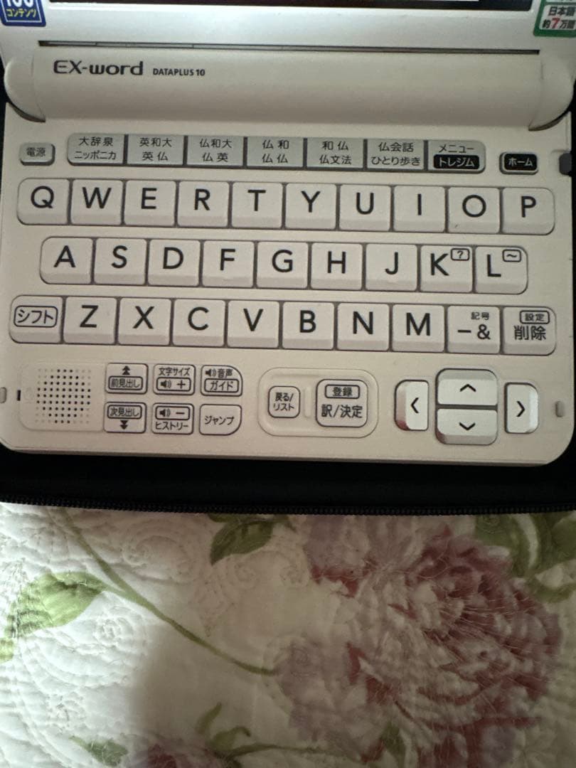 CASIO 電子辞書 EX-wordフランス語DATAPLUS10 ケース付