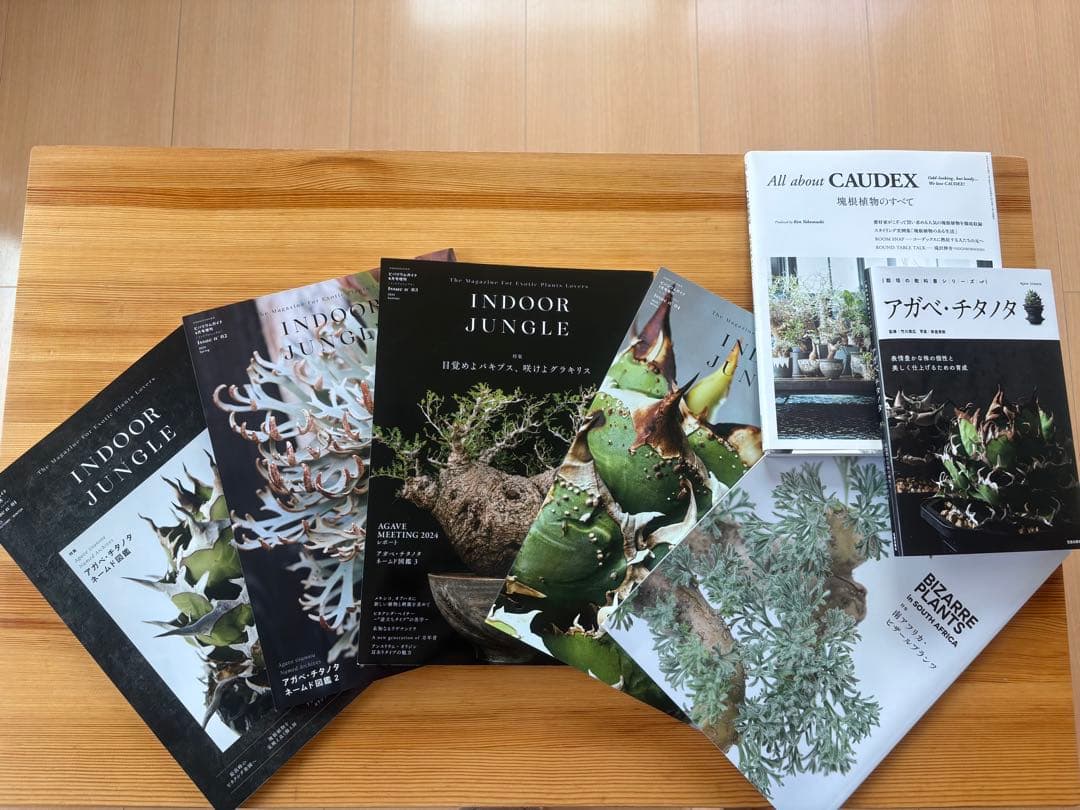INDOOR JUNGLE 雑誌セットNo,1〜5+雑誌2冊