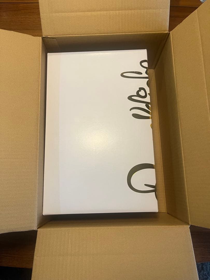 ロナウジーニョ× Nike ティエンポ 26cm