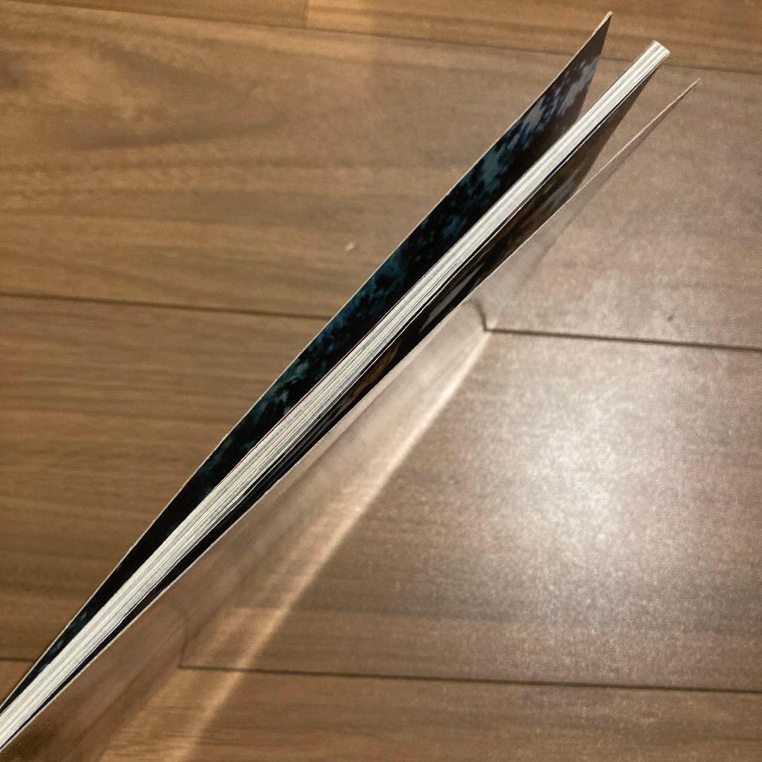 ザ・ヴァージン・スーサイズ　ソフィア・コッポラ