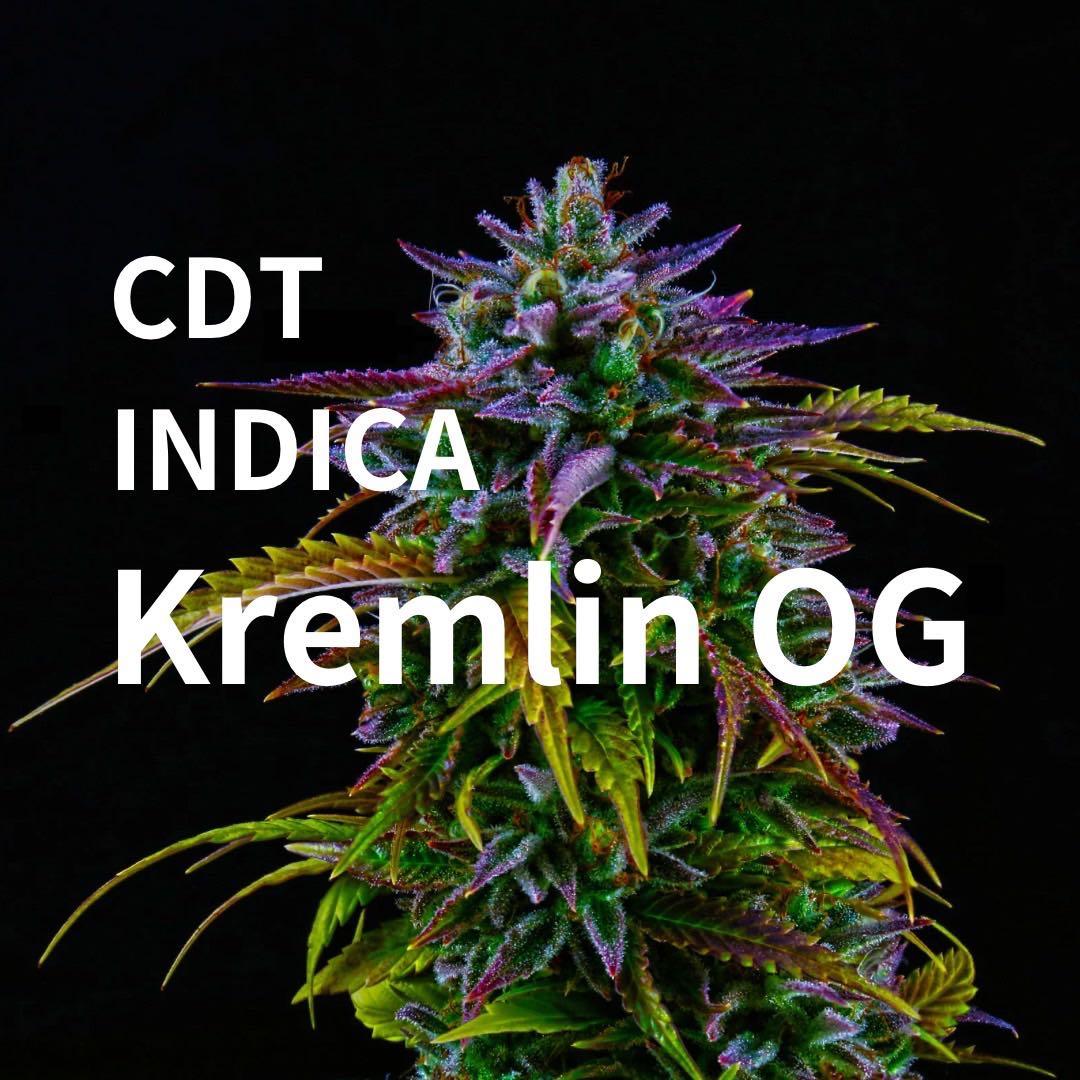 CDTテルペン Kremlin OG 2ml