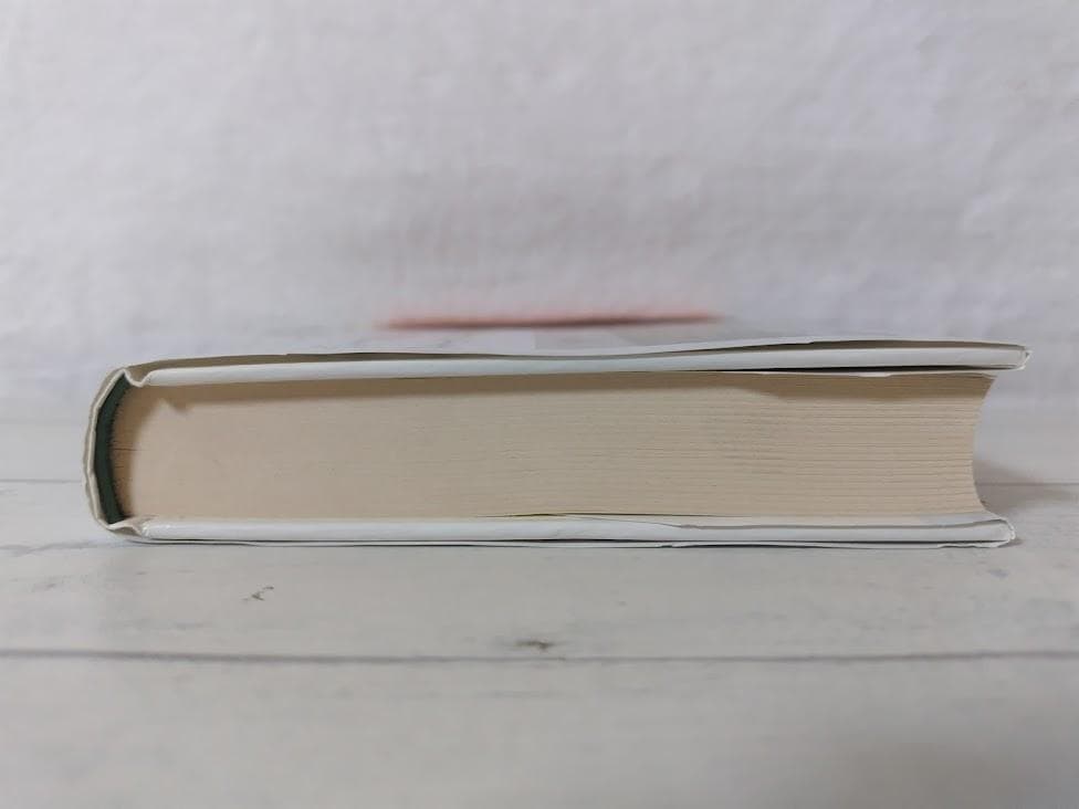 【帯付】[初版]六十五歳アイルランド留学物語／酒井 治信　文芸社　eo