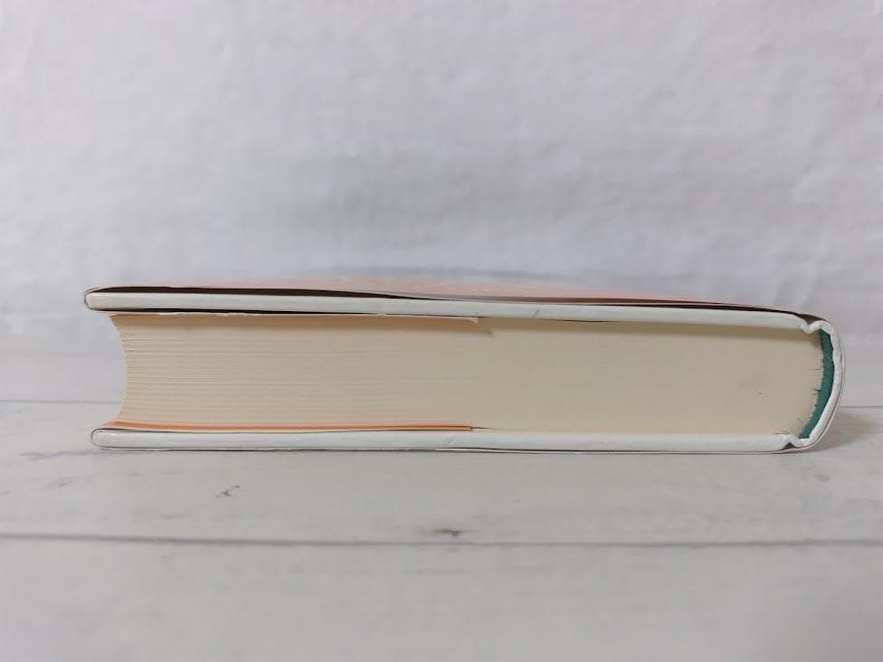 【帯付】[初版]六十五歳アイルランド留学物語／酒井 治信　文芸社　eo