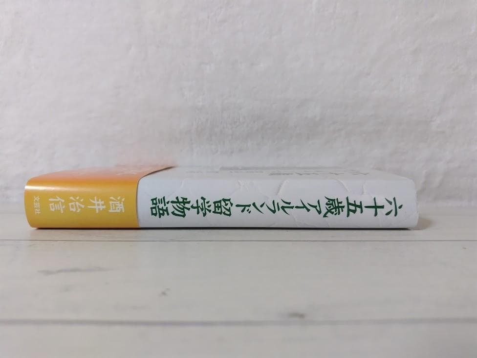 【帯付】[初版]六十五歳アイルランド留学物語／酒井 治信　文芸社　eo