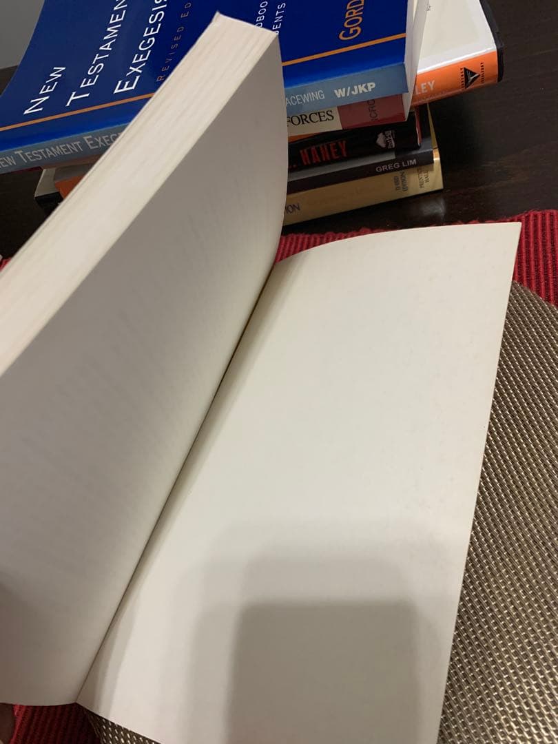 希少　THE PROPHETIC PERSONA Timothy Polk