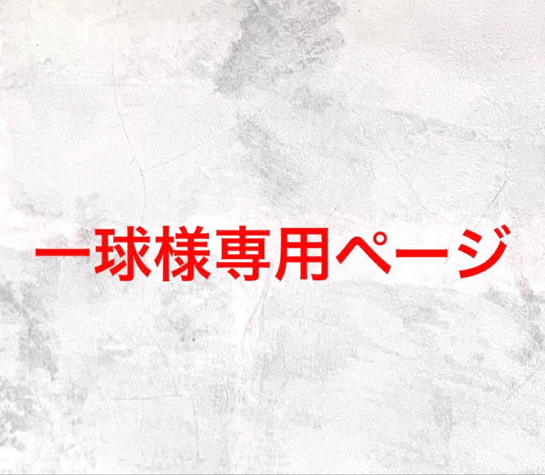 一球ページ