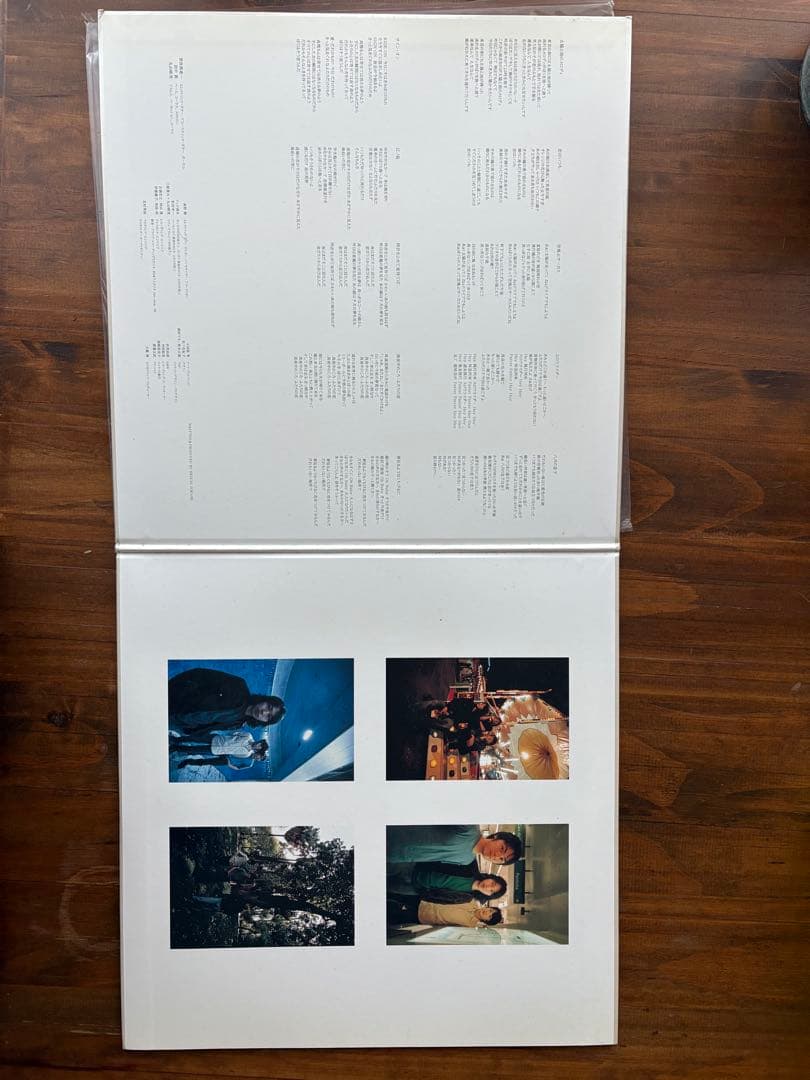 MUGEN サニーデイ・サービス アナログレコード