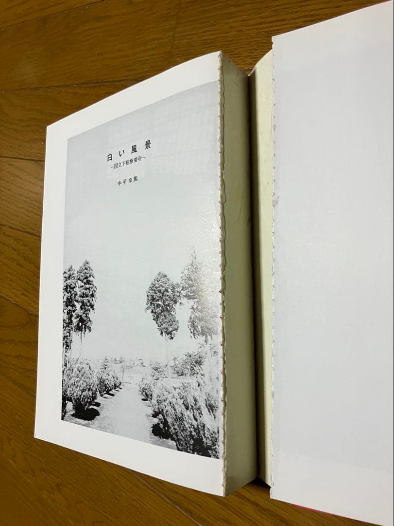 中平卓馬「都市 風景 図鑑」初版・帯付