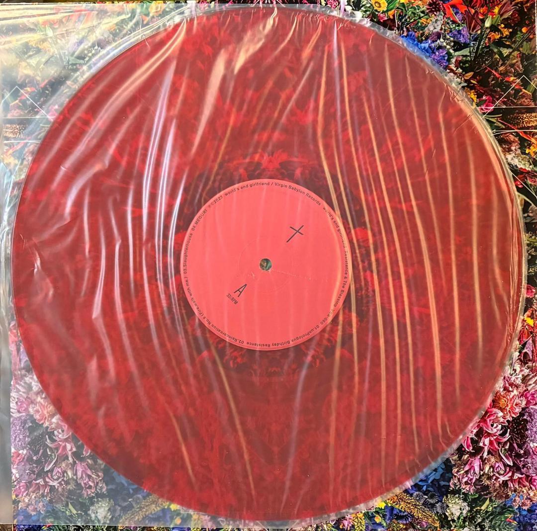 world’s end girlfriend 　レコード