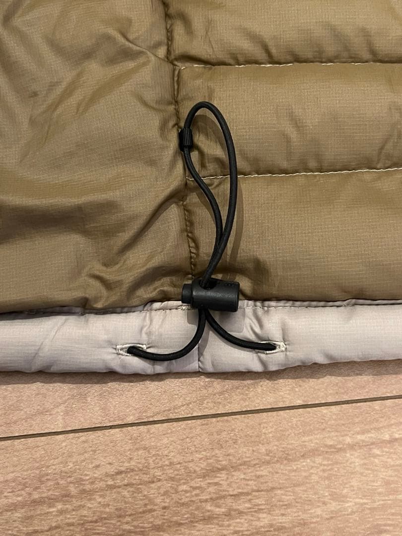 patagonia down sweater vest ダウンベスト Sベージュ