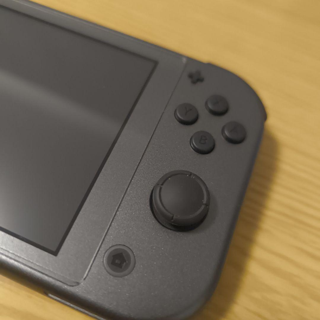 Nintendo Switch Lite 本体 ディアルガ パルキア