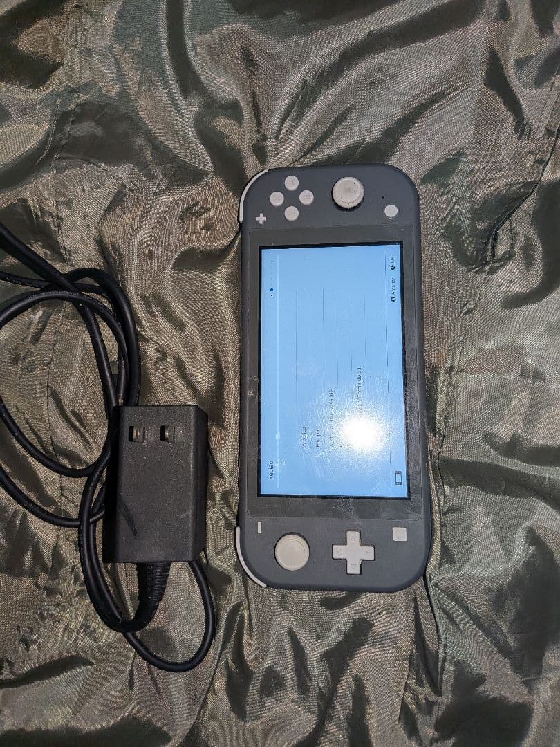 【箱無し】Nintendo Switch Lite グレー アダプター付き