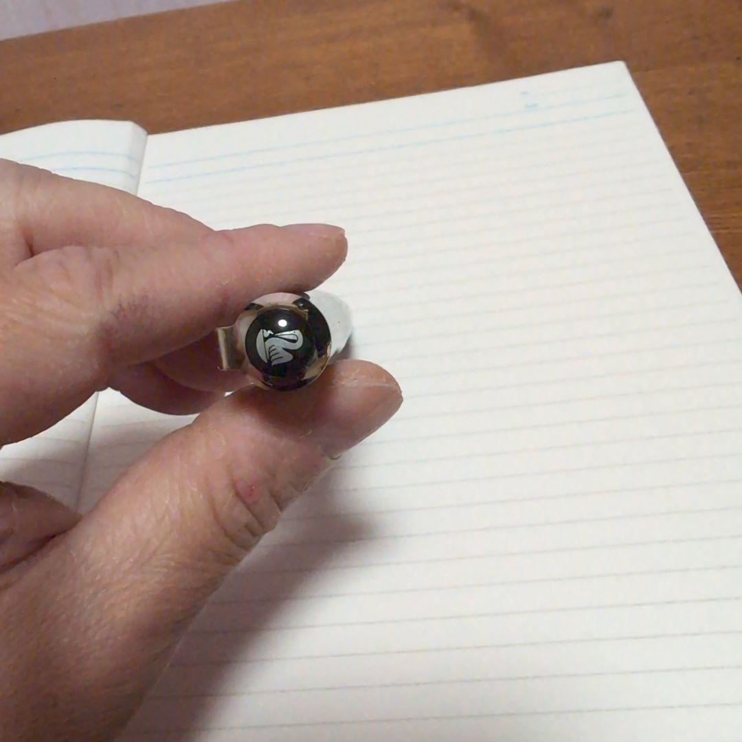 Pelikan M 640 自然の美観シリーズ　ナイアガラの滝