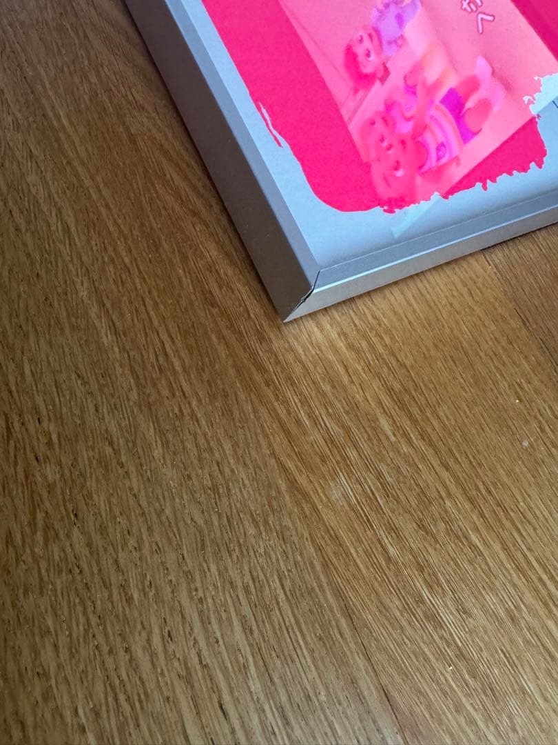 Sex Pistols Fuck Forever シルクスクリーン