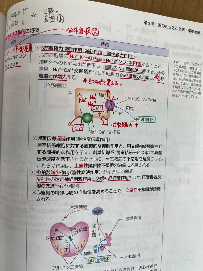 110回薬剤師国家試験対策参考書　青本青問全冊セット