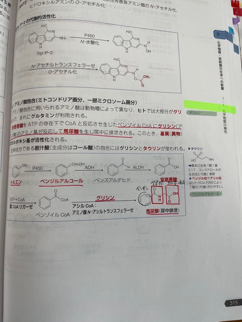 110回薬剤師国家試験対策参考書　青本青問全冊セット