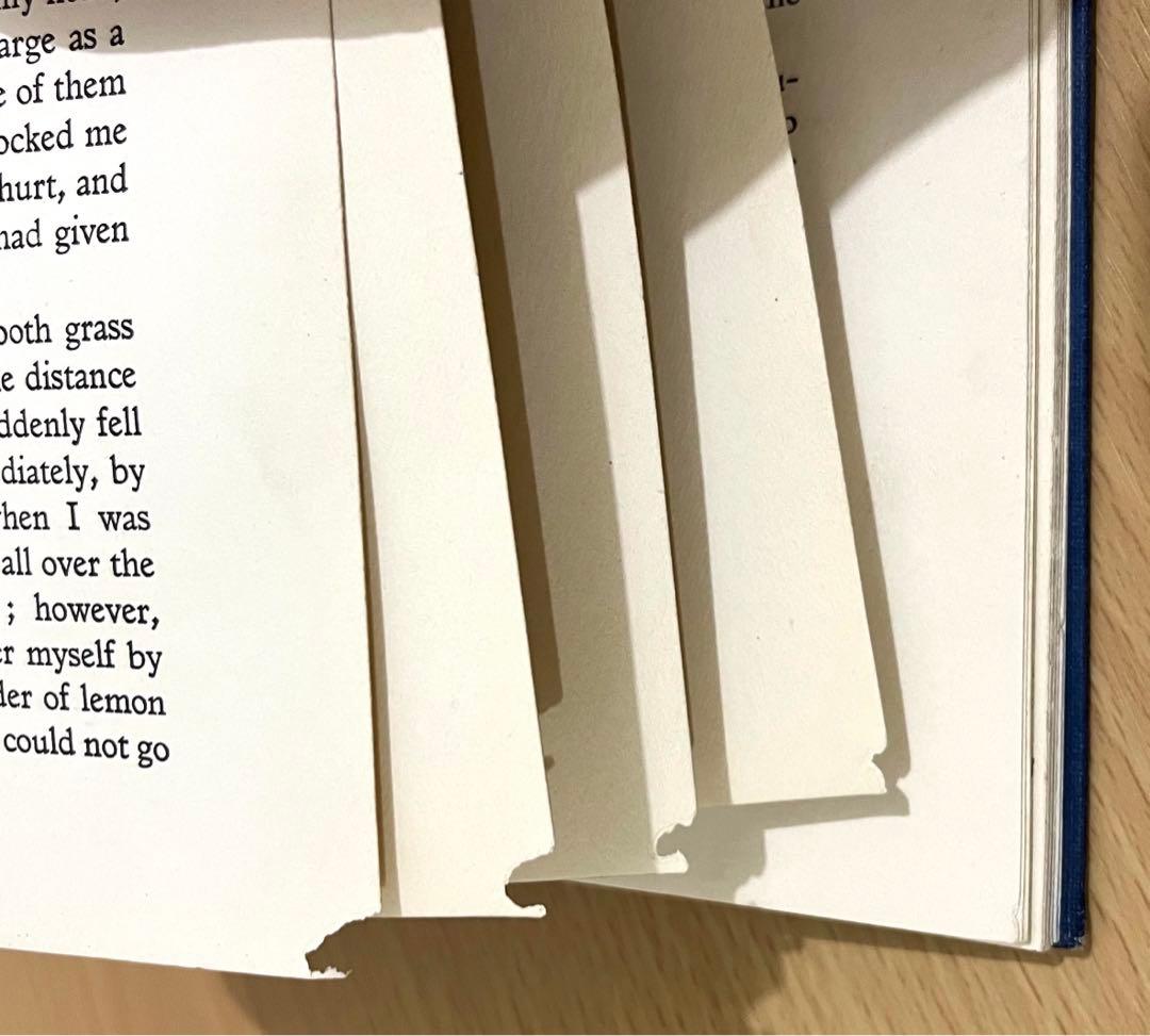 No174 貴重　アンティーク洋書 古書　アーサー·ラッカム　ガリバー旅行記