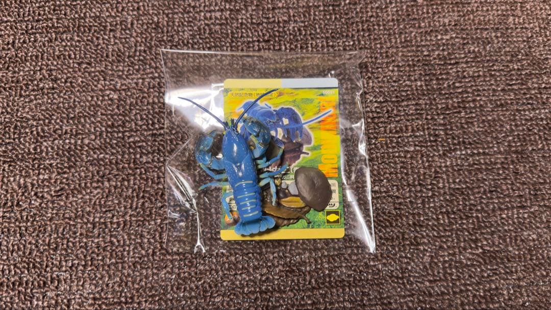 週刊 日本の天然記念物 動物編 全50巻+フィギュア+公式トレカ