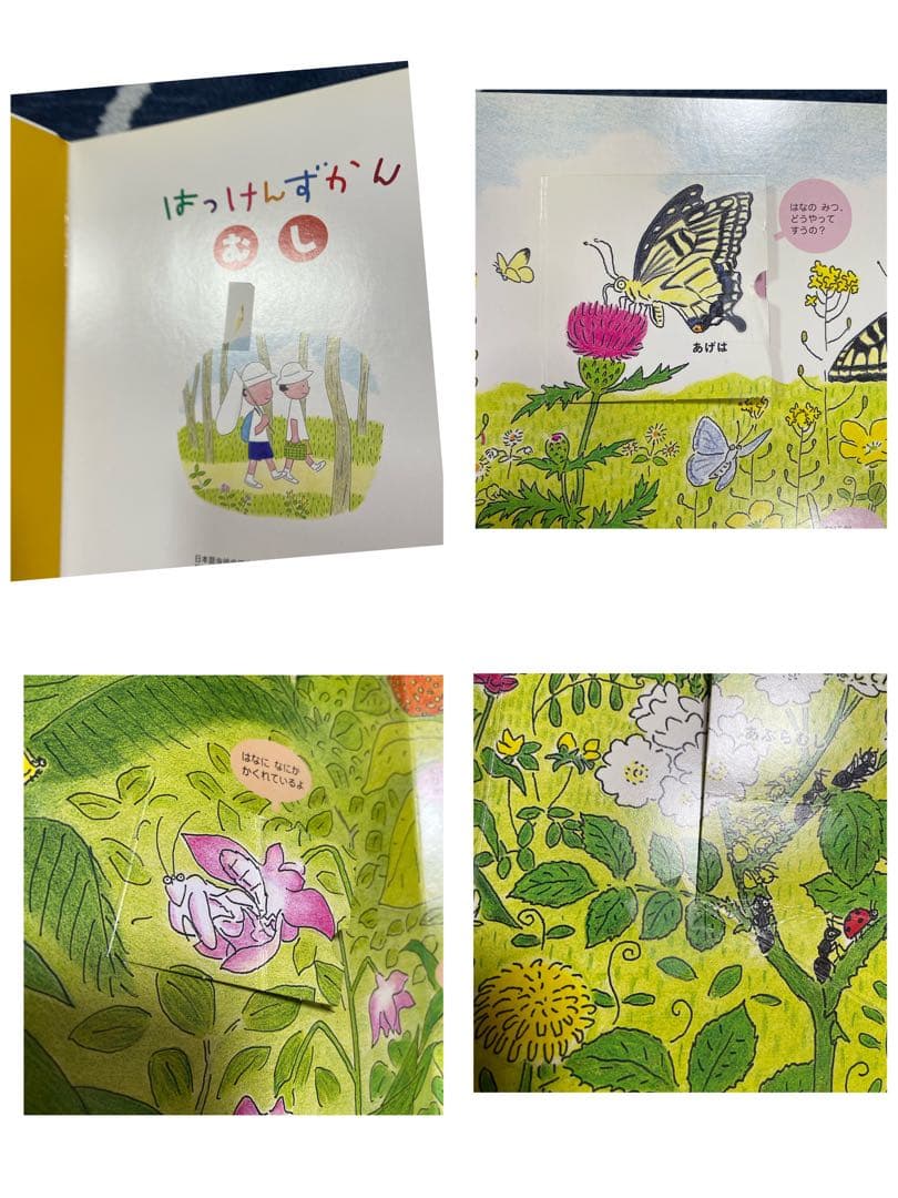 はっけんずかん/まどあけずかん　他　図鑑11冊セット