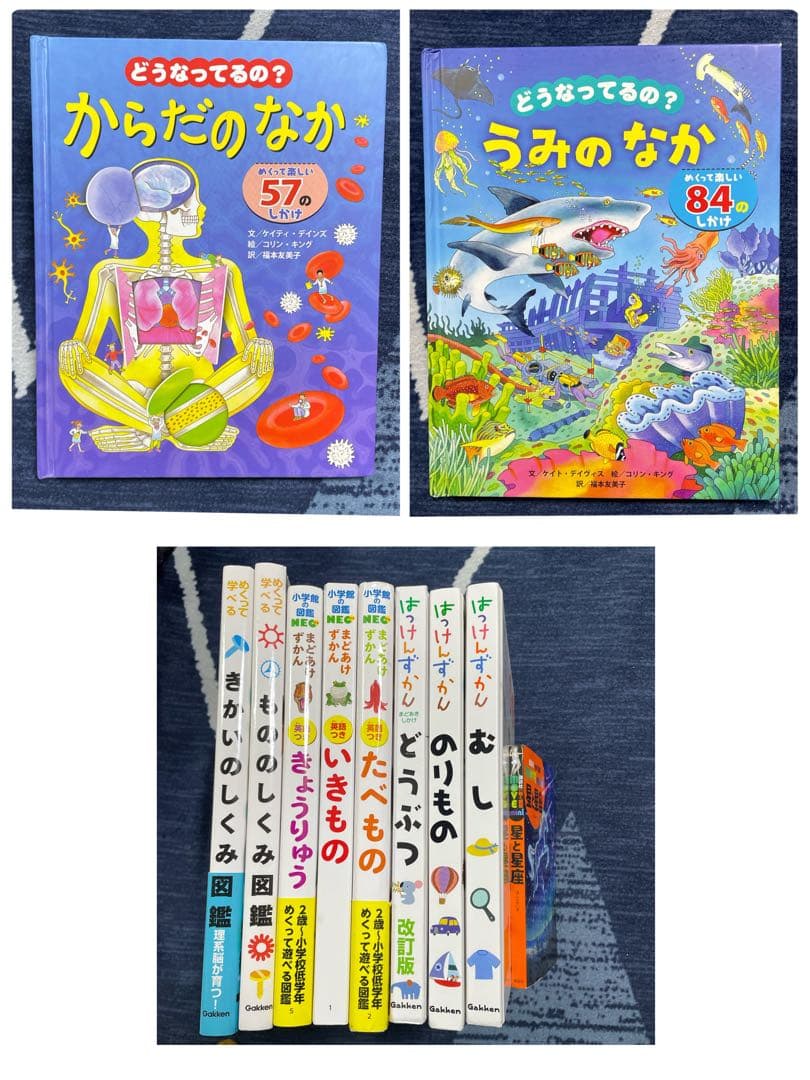はっけんずかん/まどあけずかん　他　図鑑11冊セット