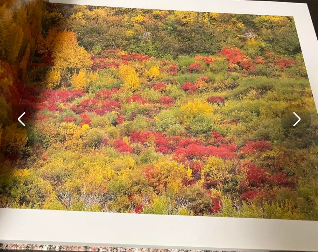 【海外写真集・初版】コロラドの山脈 ジョン・フィールダー 絶景 希少