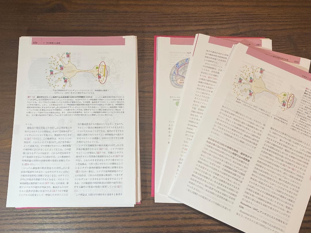 【裁断本】ストール精神薬理学エセンシャルズ　第5版【裁断済】