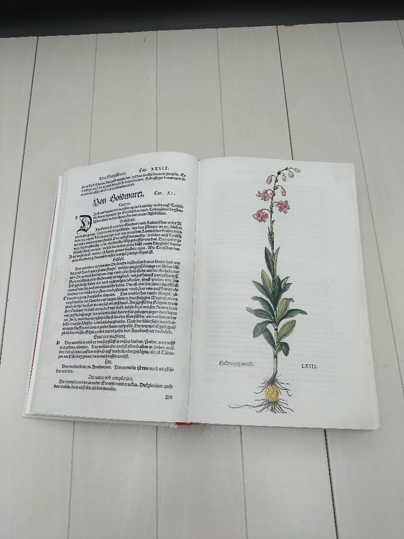 本◆Leonhart Fuchs◆英語◆ハーブ◆M-2507IN3