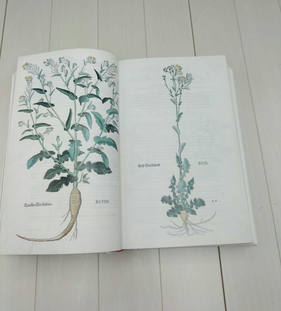 本◆Leonhart Fuchs◆英語◆ハーブ◆M-2507IN3