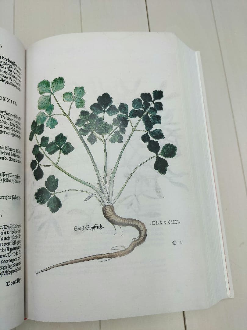 本◆Leonhart Fuchs◆英語◆ハーブ◆M-2507IN3