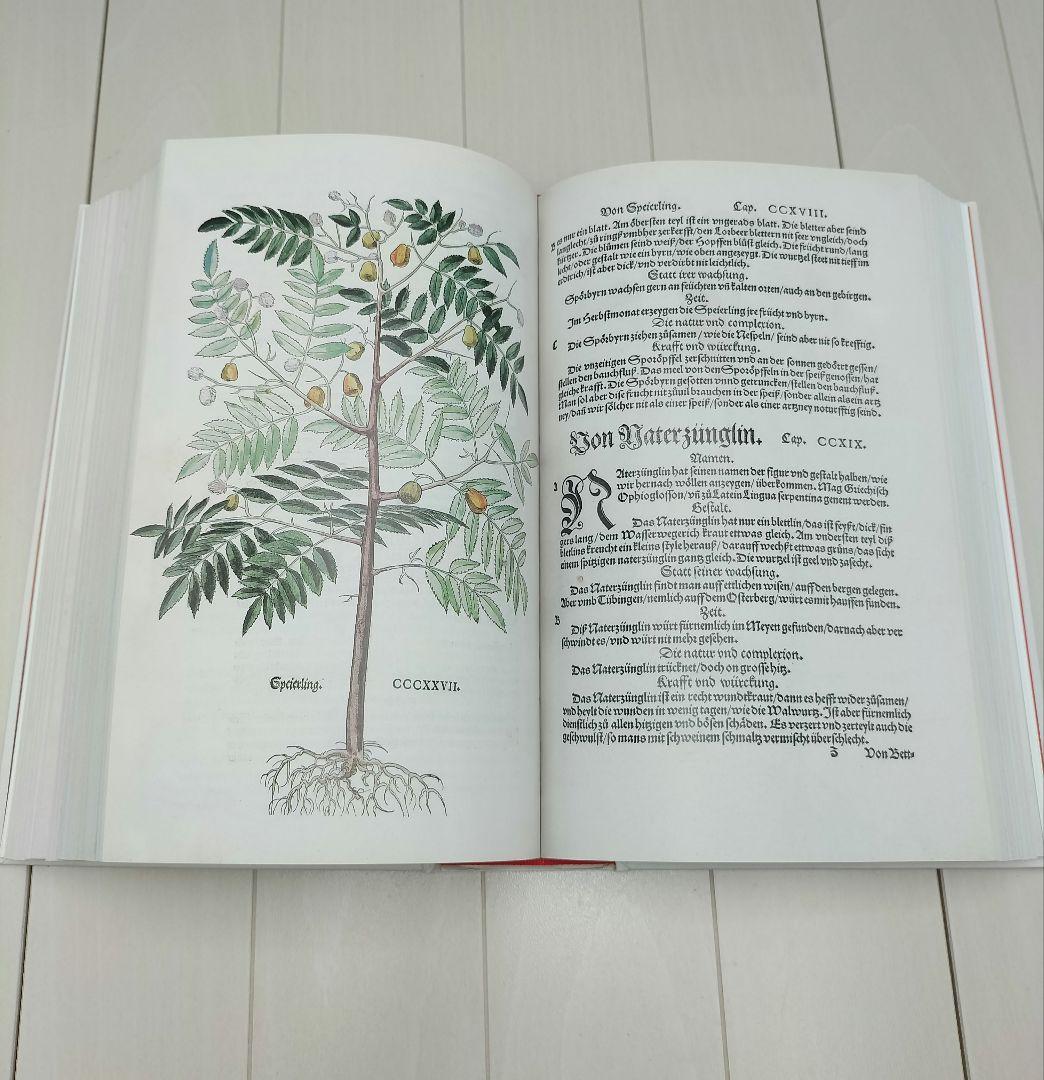 本◆Leonhart Fuchs◆英語◆ハーブ◆M-2507IN3