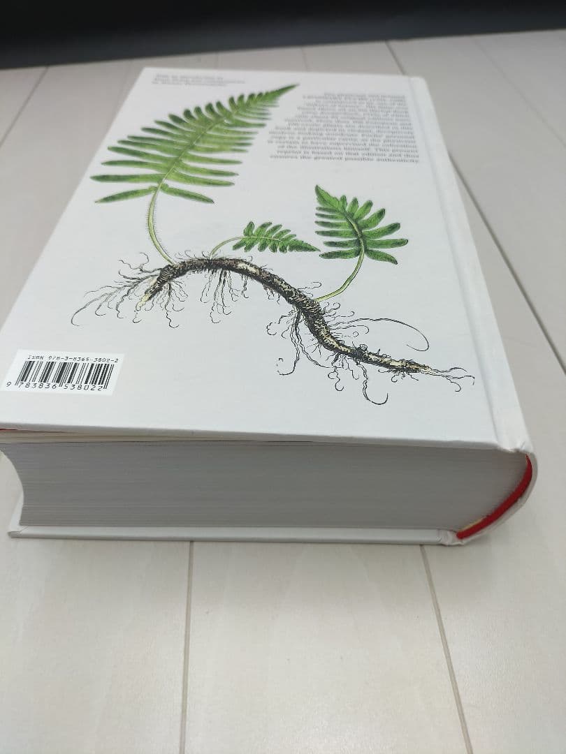 本◆Leonhart Fuchs◆英語◆ハーブ◆M-2507IN3