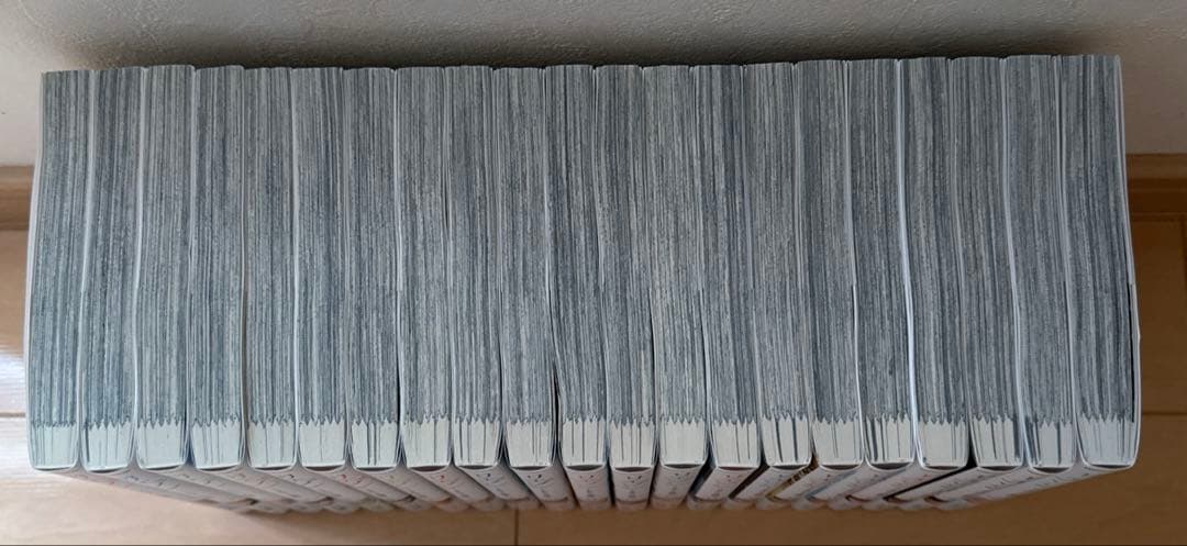 リエゾン 21巻 全巻 セット