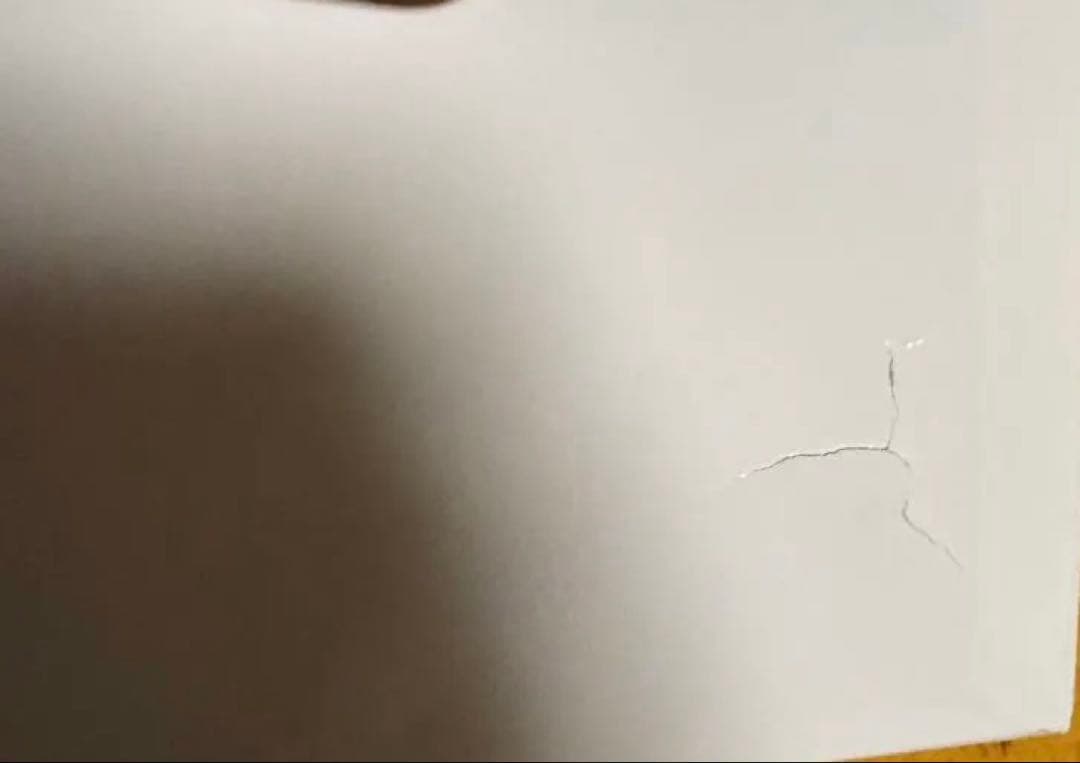 Marmolada（マルモラーダ） アニローカーフパイピングブーツ FG647