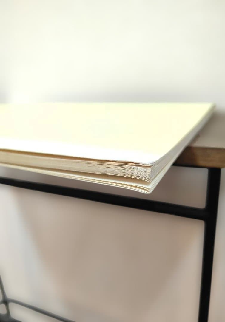 【入手困難】磁気テクニックマニュアル 　ハリー・ファイファー