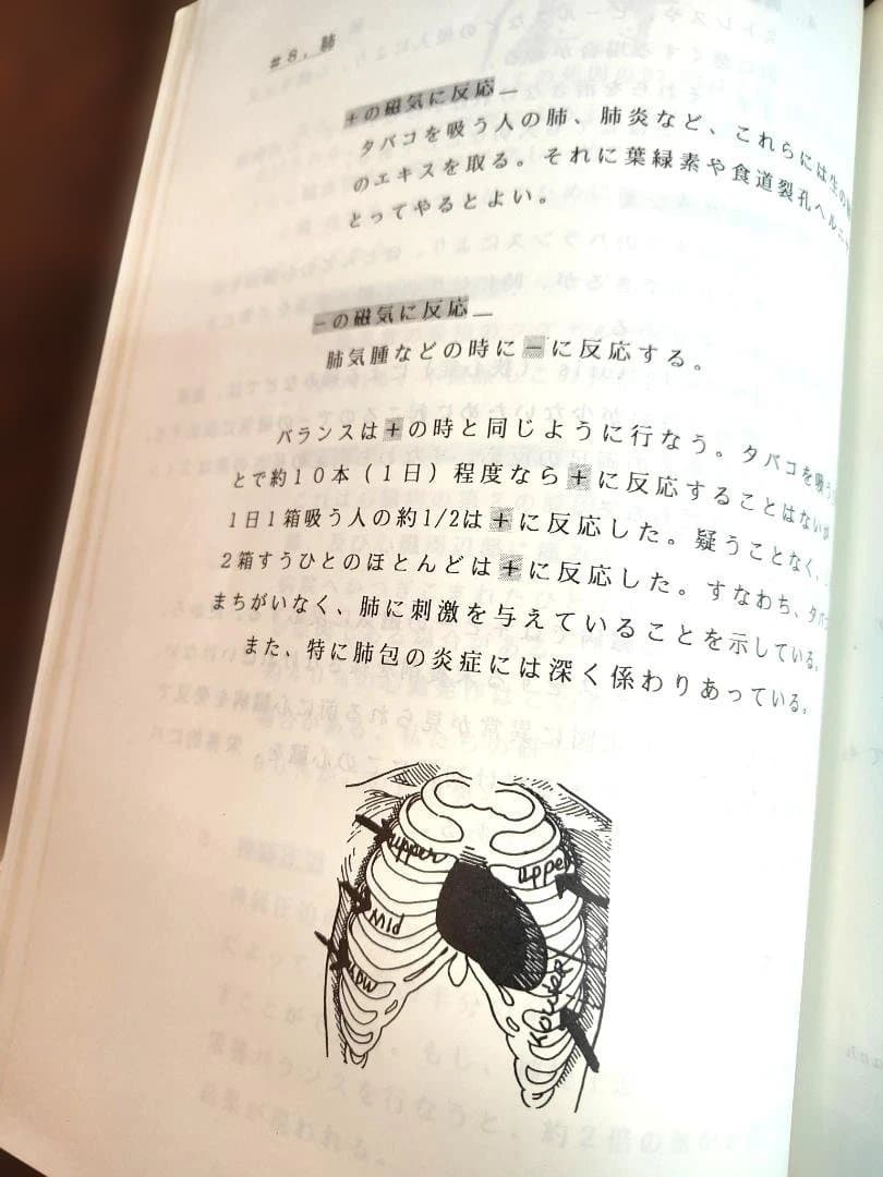 【入手困難】磁気テクニックマニュアル 　ハリー・ファイファー