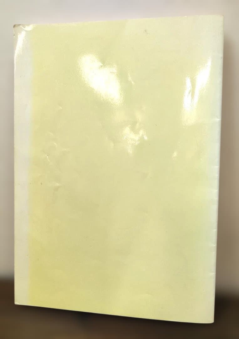 【入手困難】磁気テクニックマニュアル 　ハリー・ファイファー