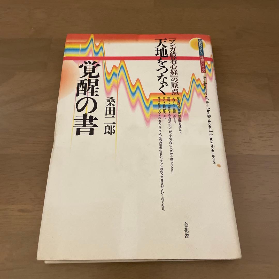 天地をつなぐ覚醒の書 マンガ般若心経の原点