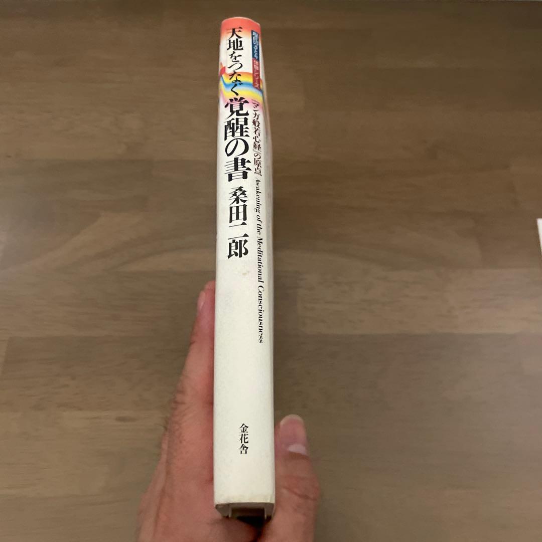 天地をつなぐ覚醒の書 マンガ般若心経の原点