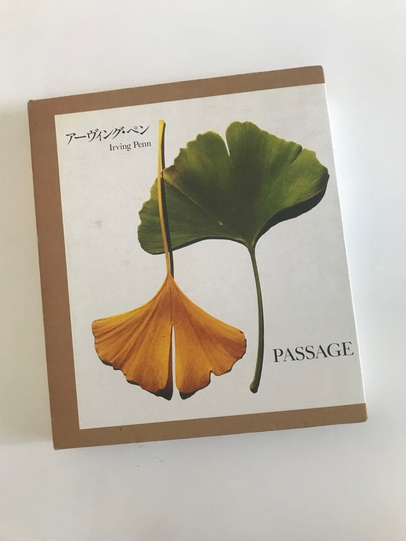 Irving Penn アーヴィング・ペン PASSAGE 写真集