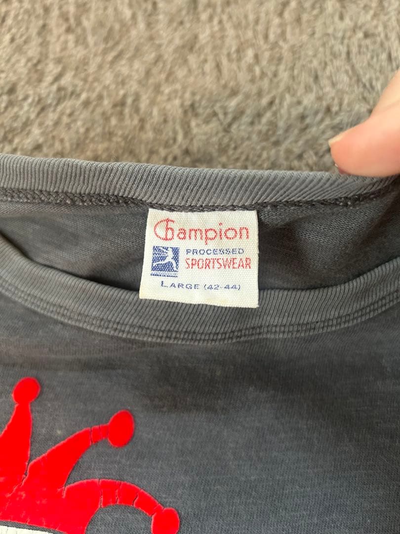 【希少】old stussy ×champion Tシャツ