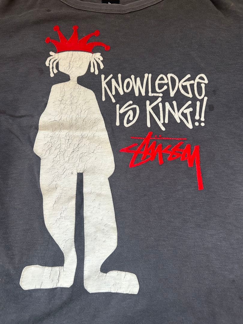 【希少】old stussy ×champion Tシャツ