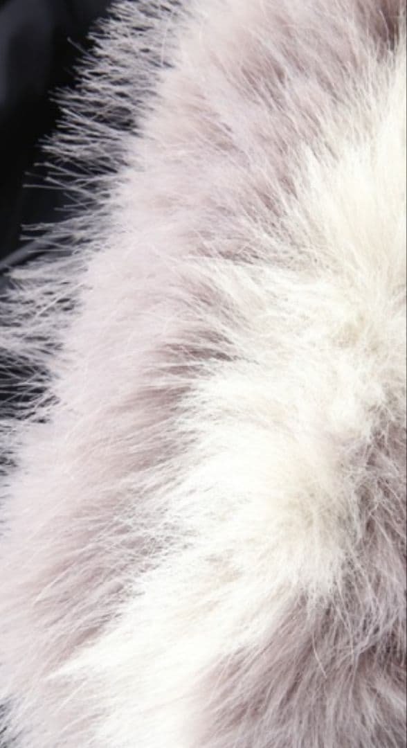 ピンキーアンドダイアン タフタロングダウンコート